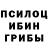 Галлюциногенные грибы мухоморы Ti GeRR